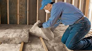 Best Radiant Barrier Insulation  in Holly Hill, SC